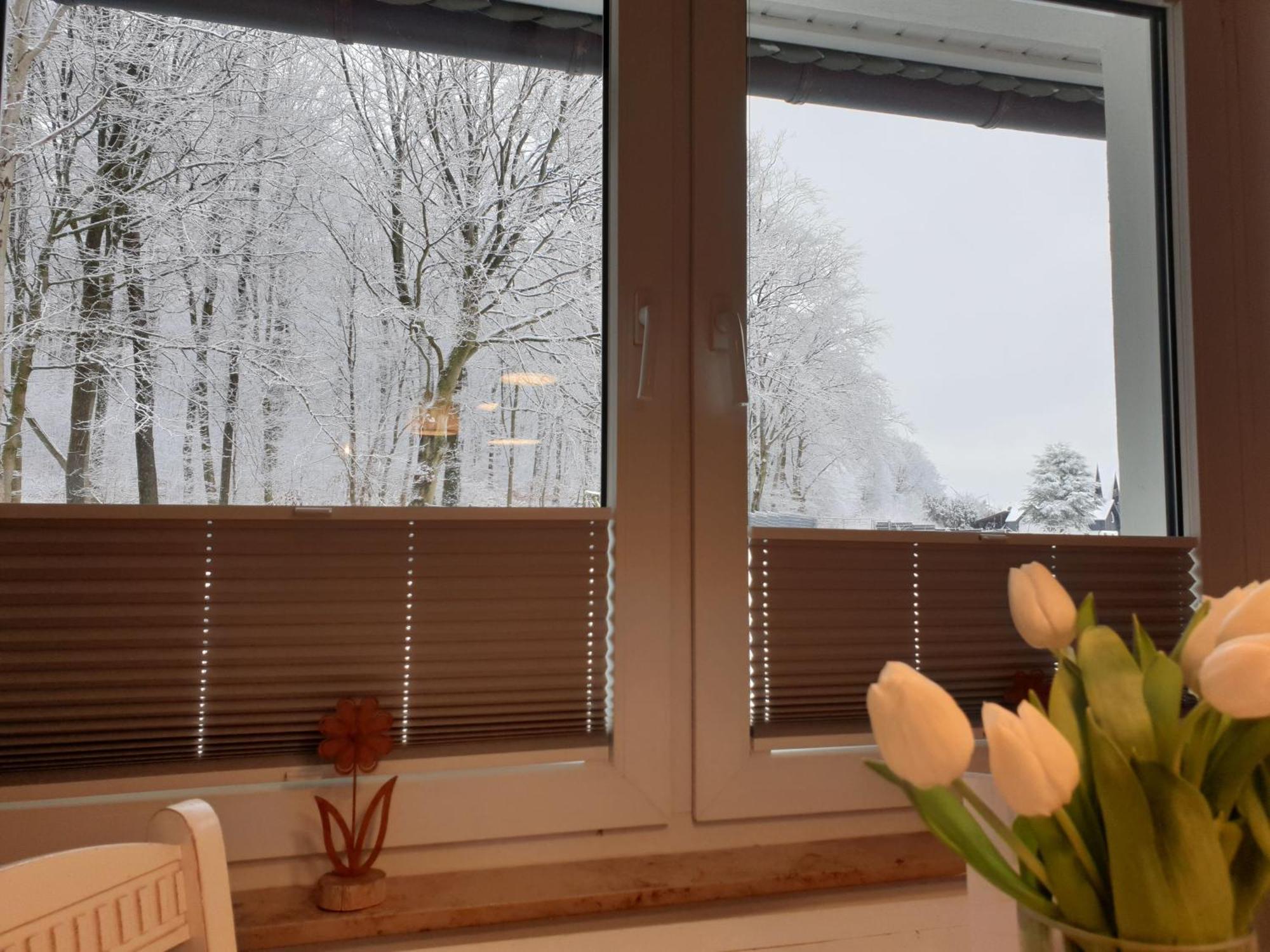 Fewo Winter In Der Villa Waldrand Mit Zwei Balkonen Bad Wünnenberg المظهر الخارجي الصورة
